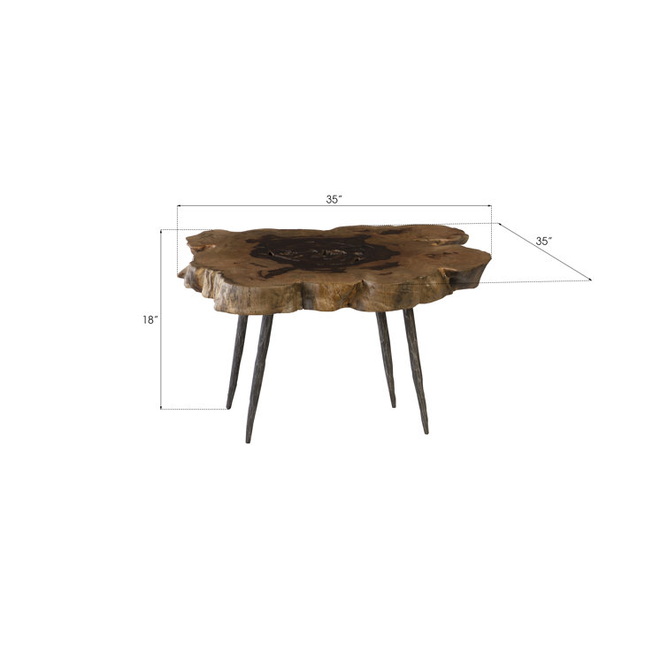 Natural Wood Slice Coffee Table with Iron Legs
