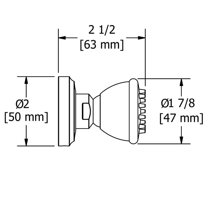 Polished Nickel Single Function Body Spray