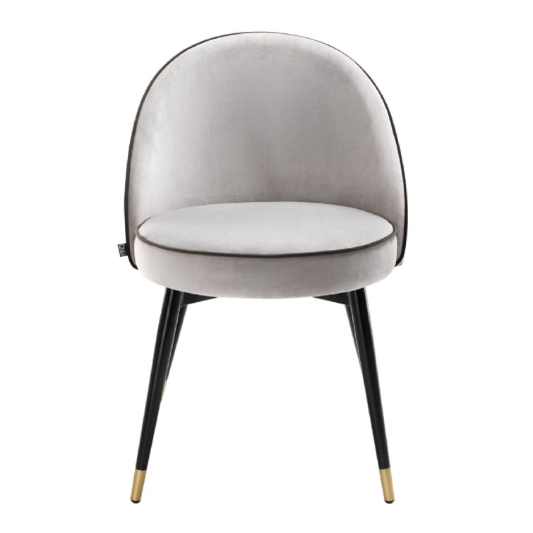Roche Light Gray Velvet Upholstered Side Chair with Brass Caps