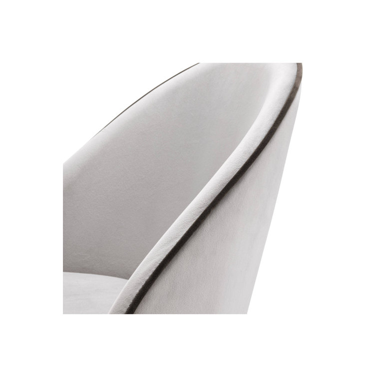 Roche Light Gray Velvet Upholstered Side Chair with Brass Caps