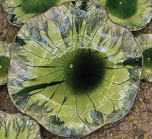 Small Green Ceramic Lily Plate Wall Decor
