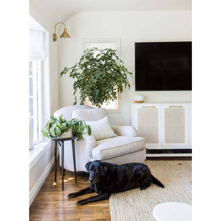 Elegant Dublin 13" Natural Brass Dimmable Wall Sconce