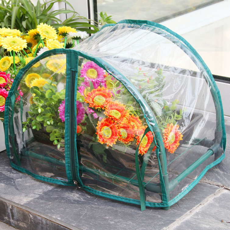 Compact 12'' Green Mini Greenhouse with Assembly Kit