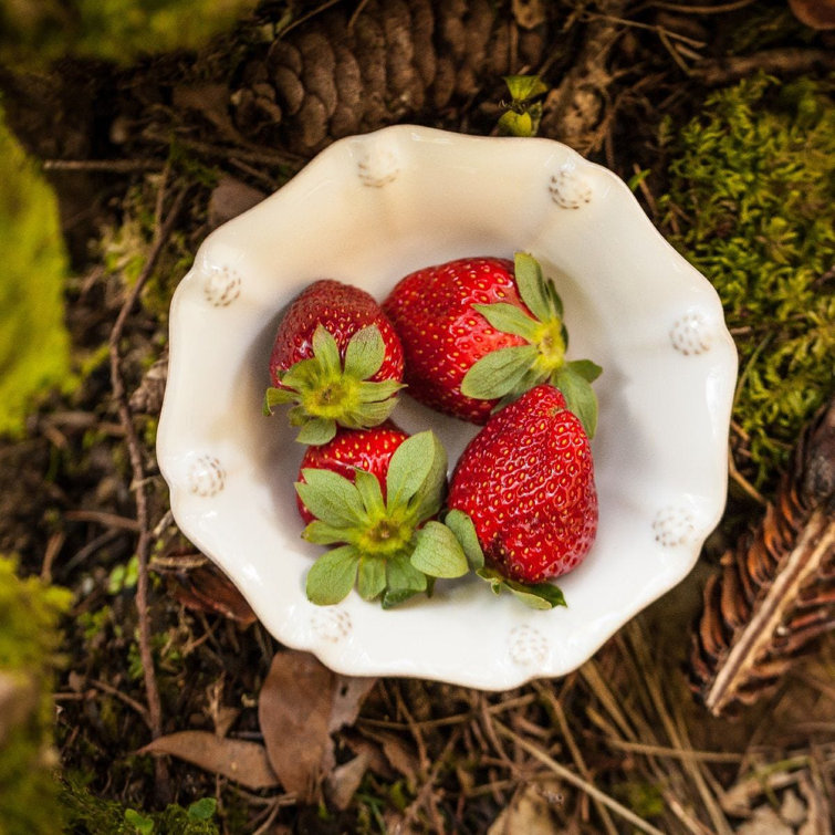 Whitewash Ceramic Berry Bowl with Scalloped Edge - 11oz