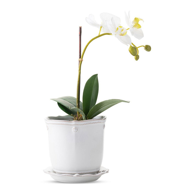 Whitewash Ceramic Round Planter with Saucer and Distressed Finish