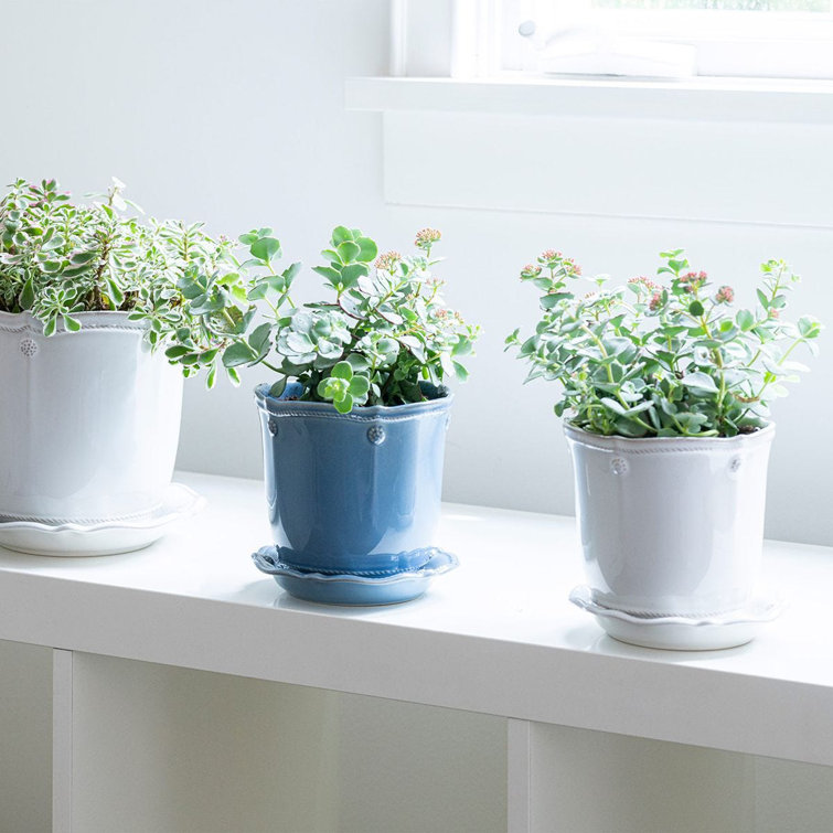 Whitewash Ceramic 7" Planter with Saucer