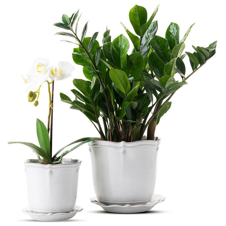 Whitewash Ceramic 7" Planter with Saucer
