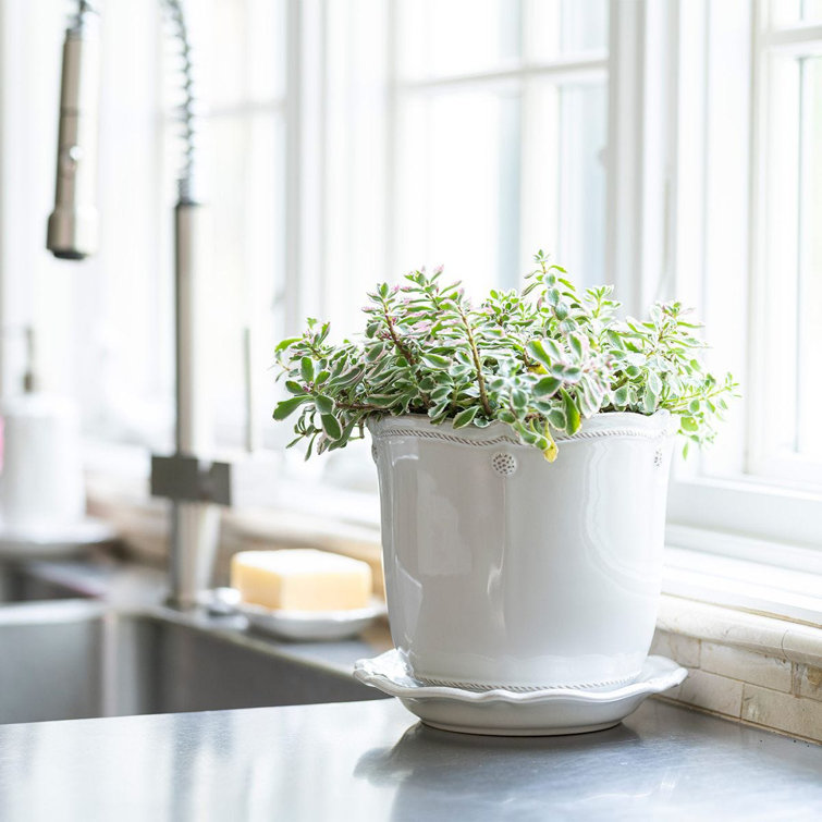 Whitewash Ceramic 7" Planter with Saucer
