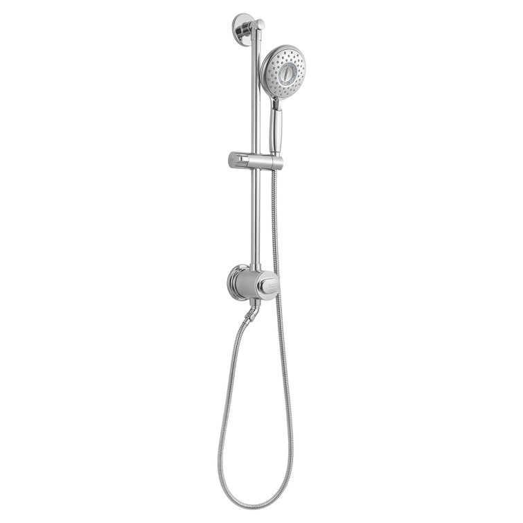 Spectra Chrome Adjustable Handheld Shower System with Filter