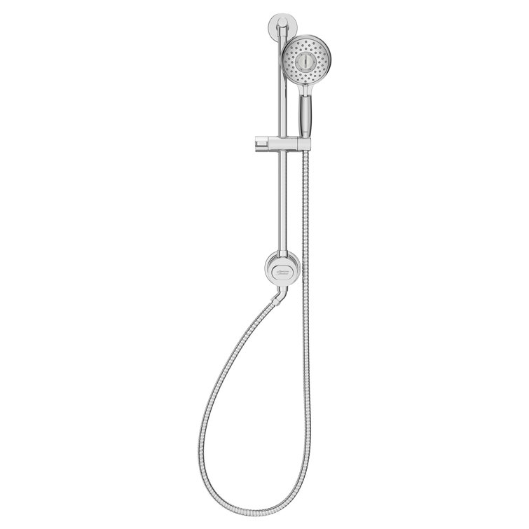 Spectra Chrome Adjustable Handheld Shower System with Filter