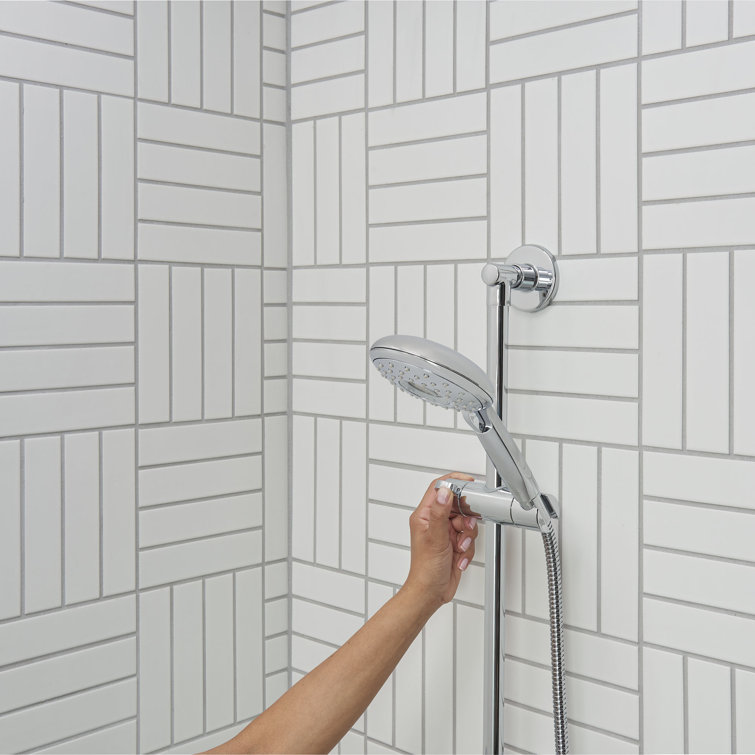 Spectra Chrome Adjustable Handheld Shower System with Filter