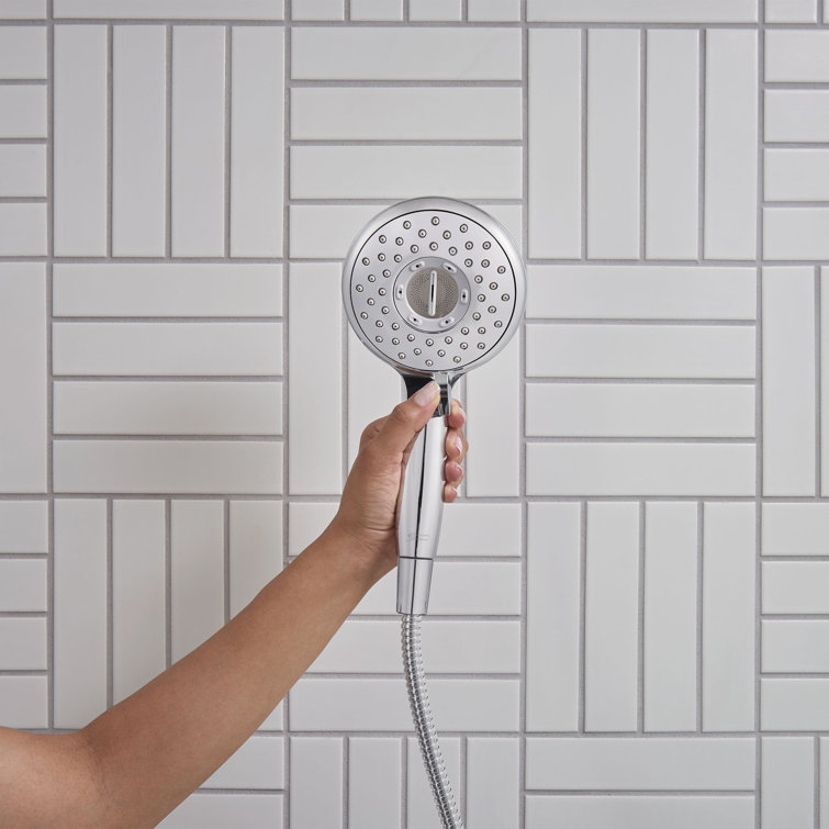 Spectra Chrome Adjustable Handheld Shower System with Filter