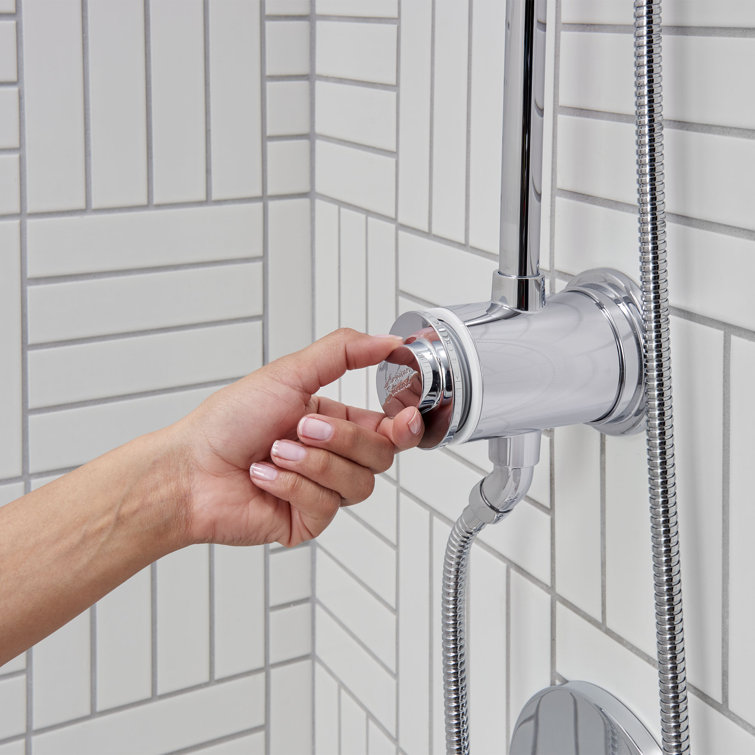 Spectra Chrome Adjustable Handheld Shower System with Filter
