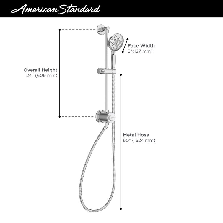 Spectra Chrome Adjustable Handheld Shower System with Filter