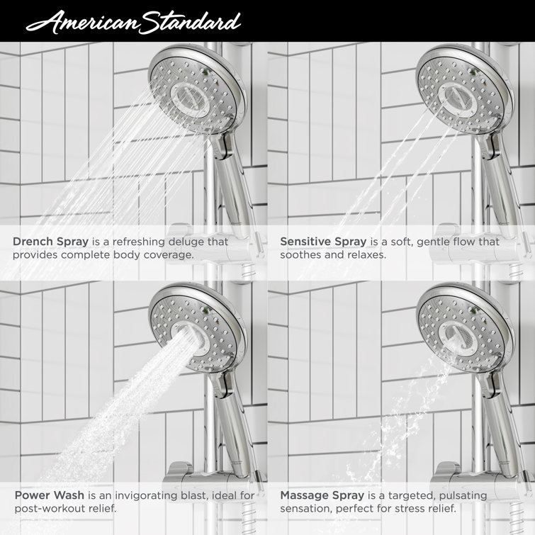 Spectra Chrome Adjustable Handheld Shower System with Filter