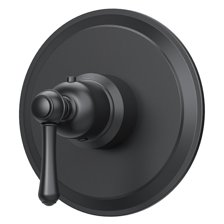 Satin Black Single Lever Thermostatic Shower Valve Trim