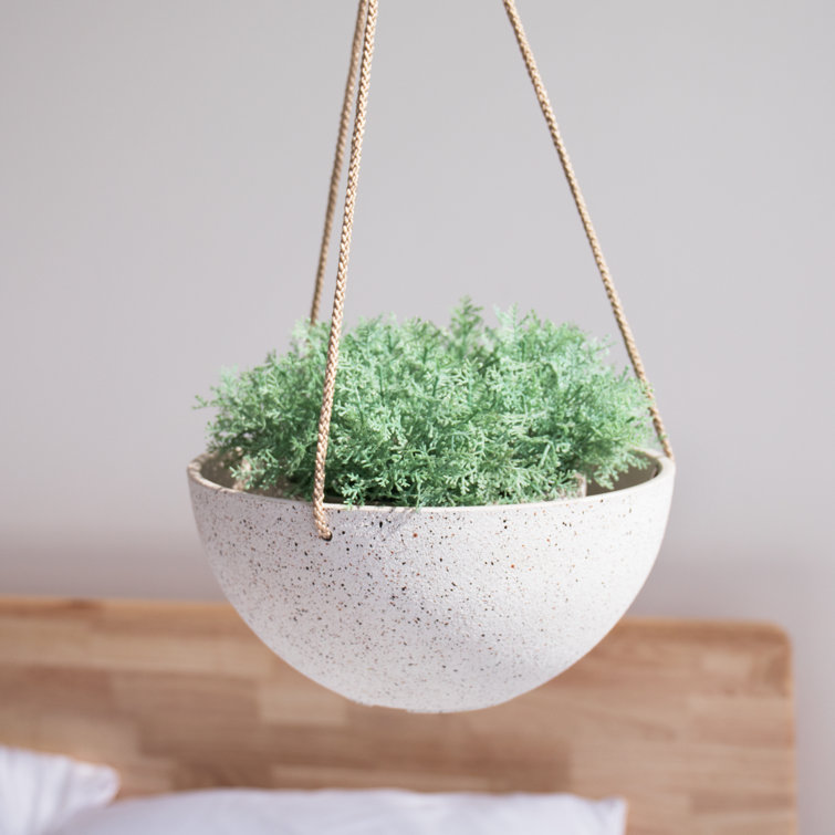 Speckled White 10'' Hanging Planters with Rope Hanger, Set of 2