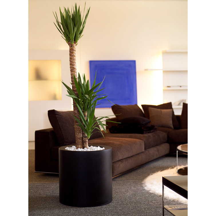 Bronze Medium Round Polyethylene Planter with Drainage Holes
