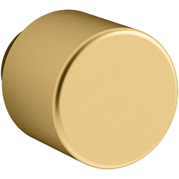 Helst Round Brushed Brass Cabinet Knob with Mounting Hardware
