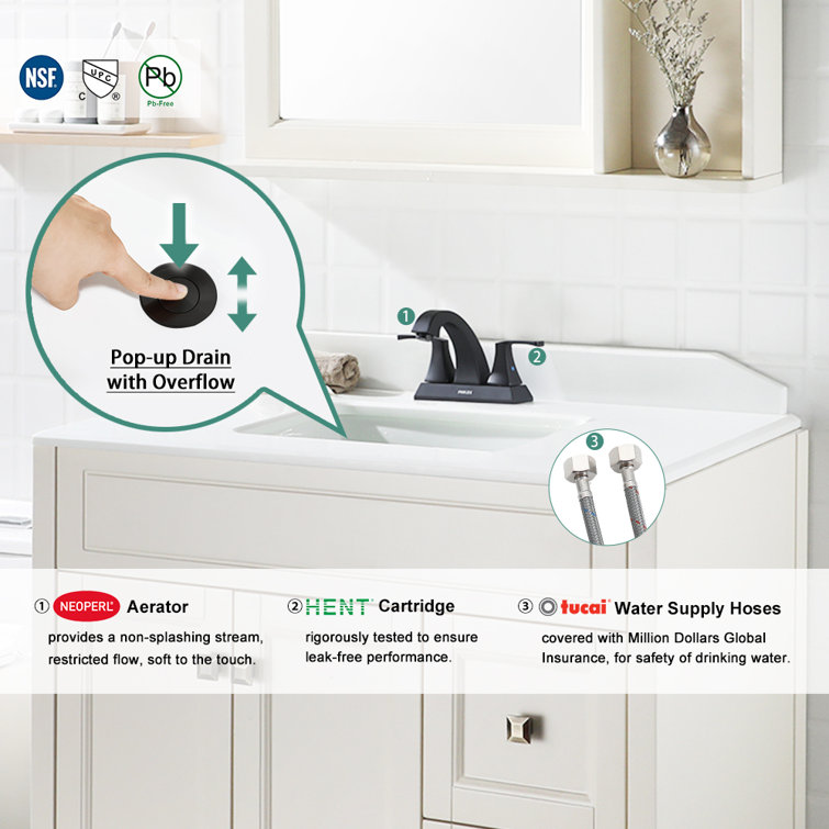 Matte Black Centerset 2-Handle Bathroom Faucet with Drain Assembly