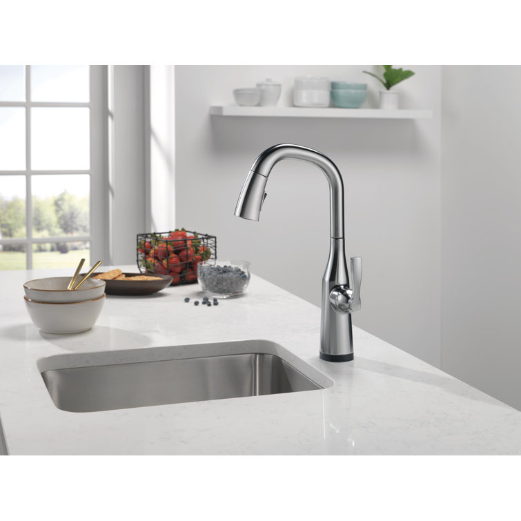 Arctic Stainless Steel Modern Pull-Out Spray Bar Faucet