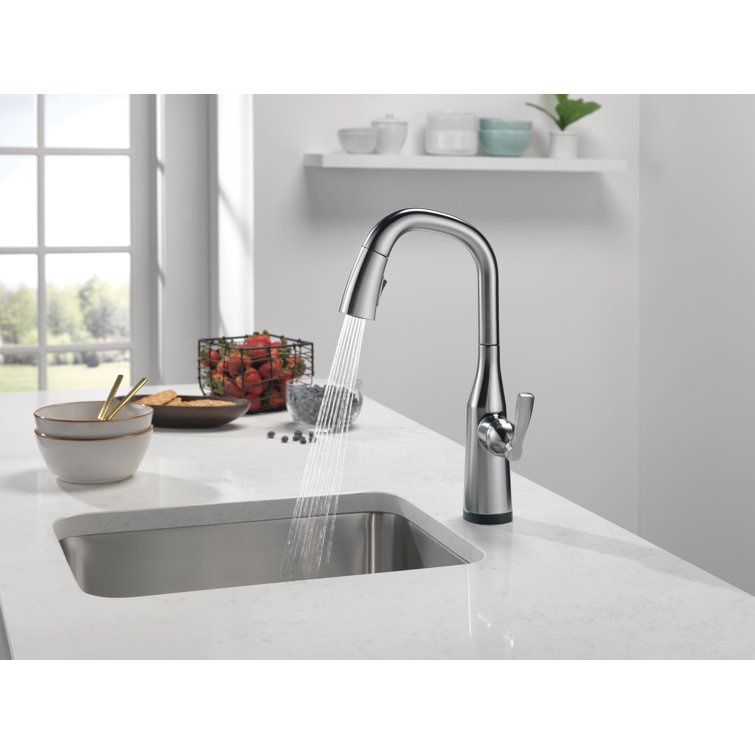 Arctic Stainless Steel Modern Pull-Out Spray Bar Faucet