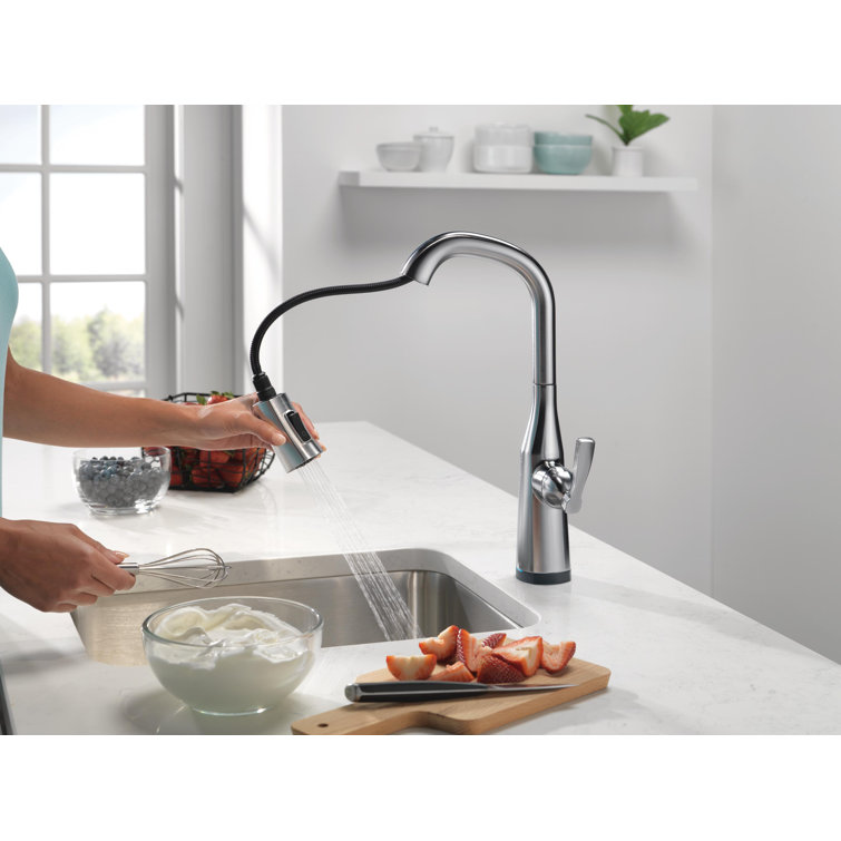 Arctic Stainless Steel Modern Pull-Out Spray Bar Faucet