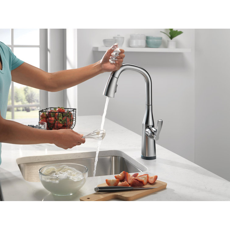 Arctic Stainless Steel Modern Pull-Out Spray Bar Faucet