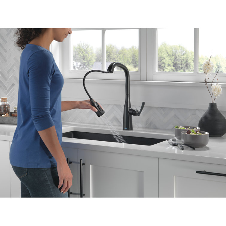Matte Black Brass Pull-Out Spray Kitchen Faucet