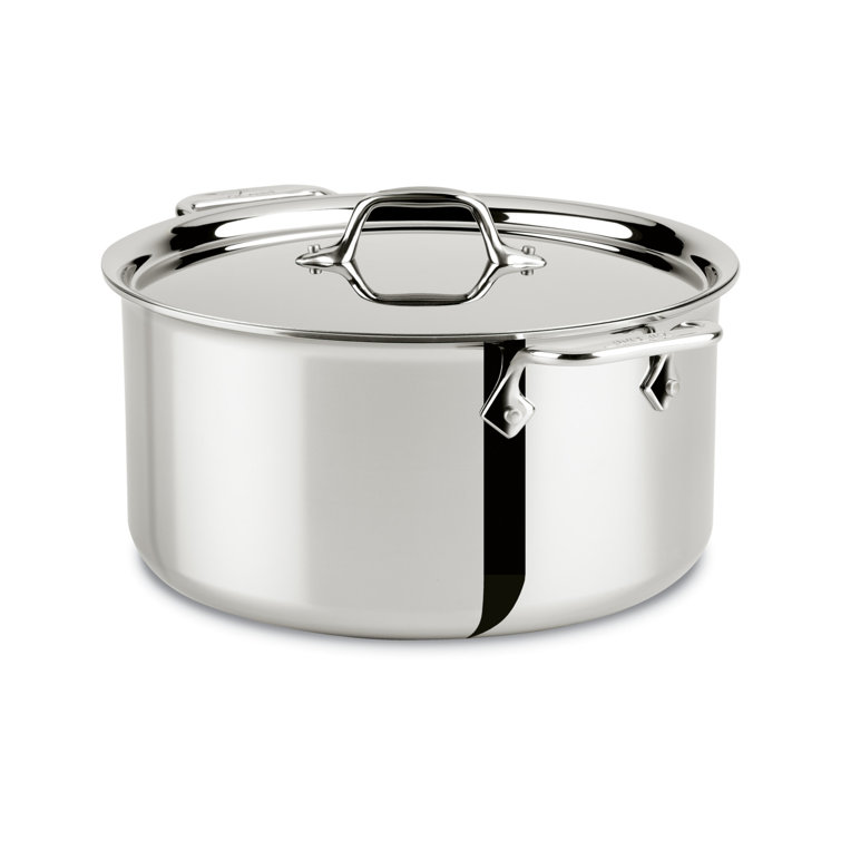 All-Clad 8-Quart Stainless Steel Stockpot with Lid for Induction