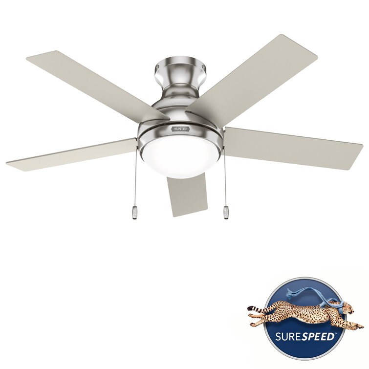 Aren 44" Brushed Nickel 5-Blade Ceiling Fan with LED Light
