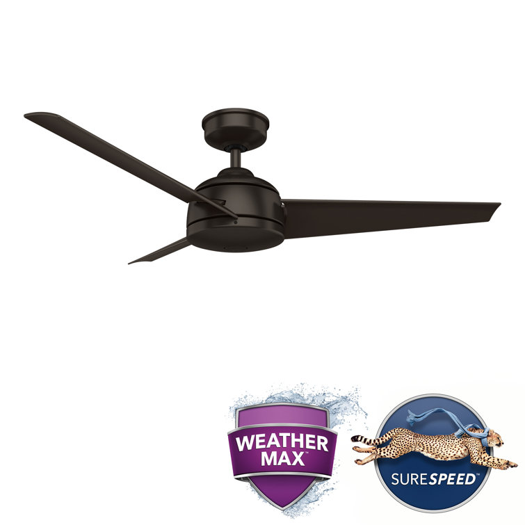 52" Premier Bronze Outdoor Ceiling Fan with Wall Control