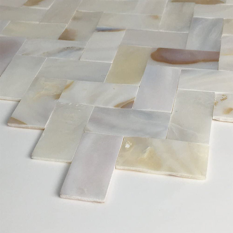 Mother of Pearl Oyster White Square Wall Tile