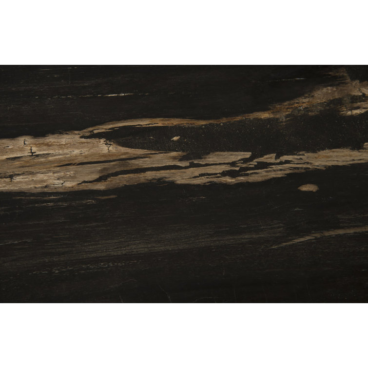 Medusa's Charm 20" Square Petrified Wood & Metal Side Table
