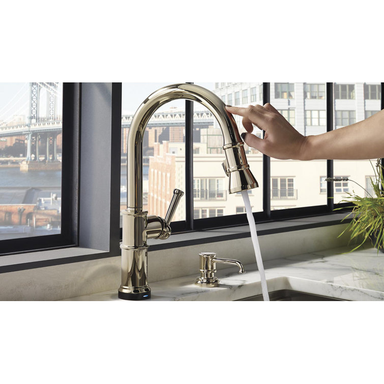 Contemporary Venetian Bronze Kitchen Faucet with Pull-out Spray