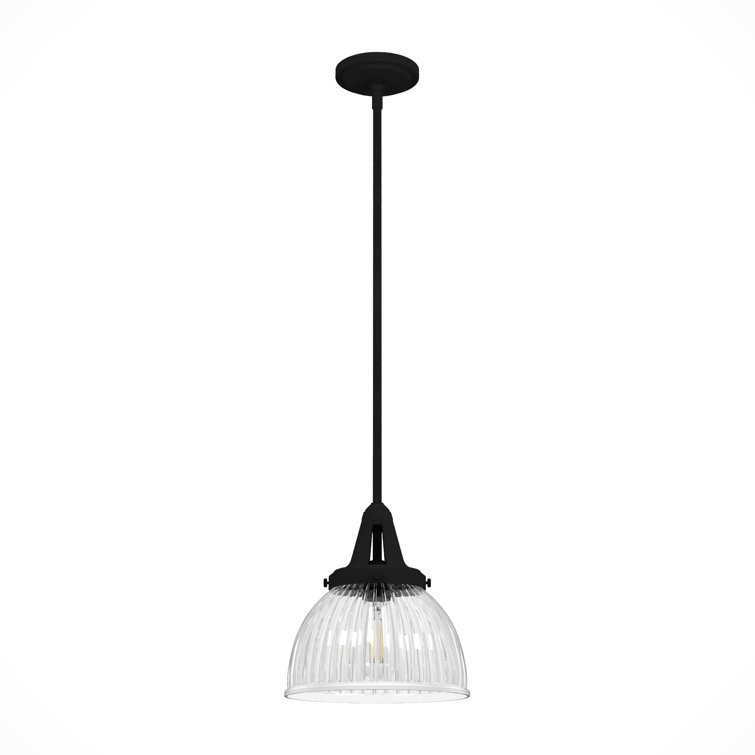 Hunter Cypress Grove Natural Black Iron Mini Pendant Light with Clear Glass Dome Shade