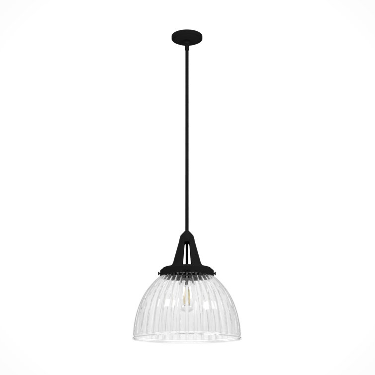Hunter Cypress Grove Natural Black Iron Mini Pendant Light with Clear Glass Dome Shade