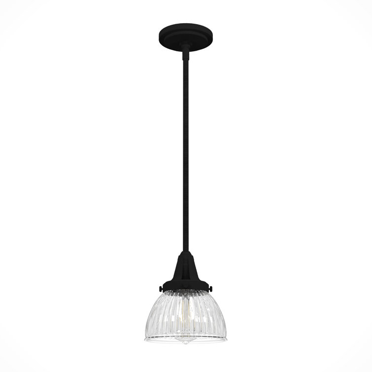 Hunter Cypress Grove Natural Black Iron Mini Pendant Light with Clear Glass Dome Shade