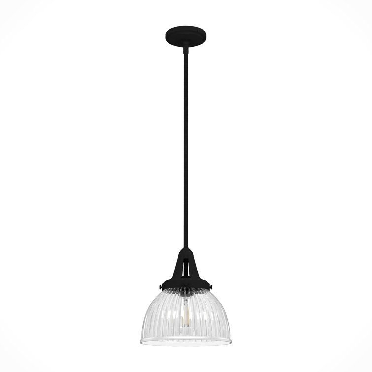 Hunter Cypress Grove Natural Black Iron Mini Pendant Light with Clear Glass Dome Shade