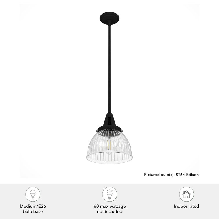 Hunter Cypress Grove Natural Black Iron Mini Pendant Light with Clear Glass Dome Shade