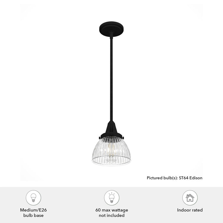 Hunter Cypress Grove Natural Black Iron Mini Pendant Light with Clear Glass Dome Shade