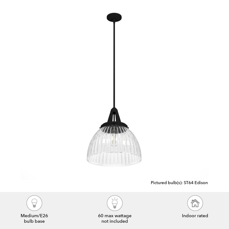 Hunter Cypress Grove Natural Black Iron Mini Pendant Light with Clear Glass Dome Shade