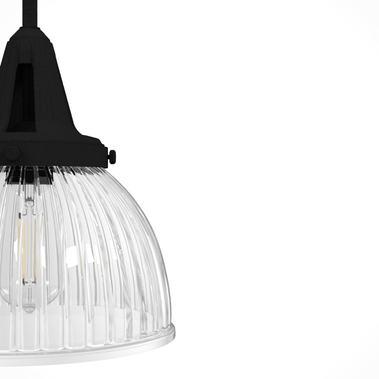 Hunter Cypress Grove Natural Black Iron Mini Pendant Light with Clear Glass Dome Shade