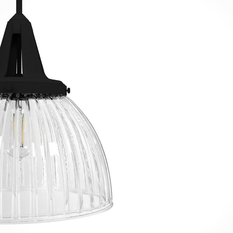 Hunter Cypress Grove Natural Black Iron Mini Pendant Light with Clear Glass Dome Shade