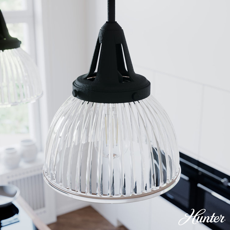 Hunter Cypress Grove Natural Black Iron Mini Pendant Light with Clear Glass Dome Shade