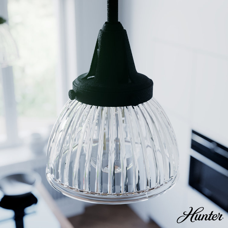 Hunter Cypress Grove Natural Black Iron Mini Pendant Light with Clear Glass Dome Shade
