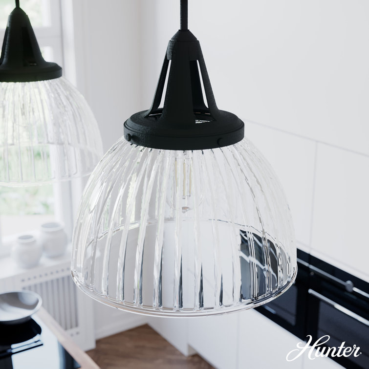 Hunter Cypress Grove Natural Black Iron Mini Pendant Light with Clear Glass Dome Shade