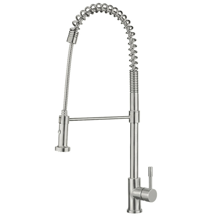 Brushed Stainless Steel Single Lever Faucet with Pull-down Spray Head