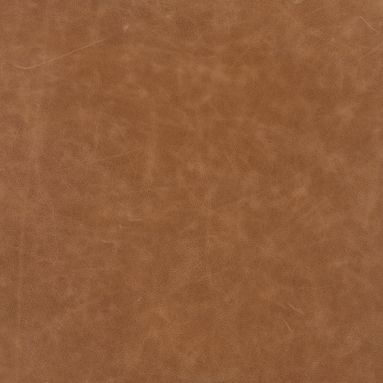 Modern Tan Leather Upholstered Dining Chair with Black Metal Legs