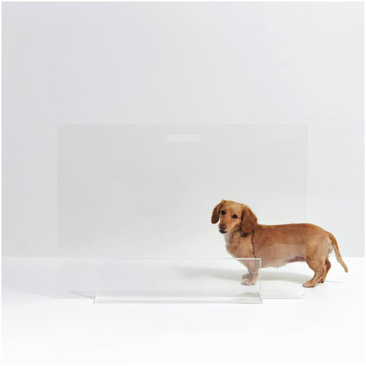 Clear Acrylic Freestanding Pet Gate Panel, 30 Inches Tall